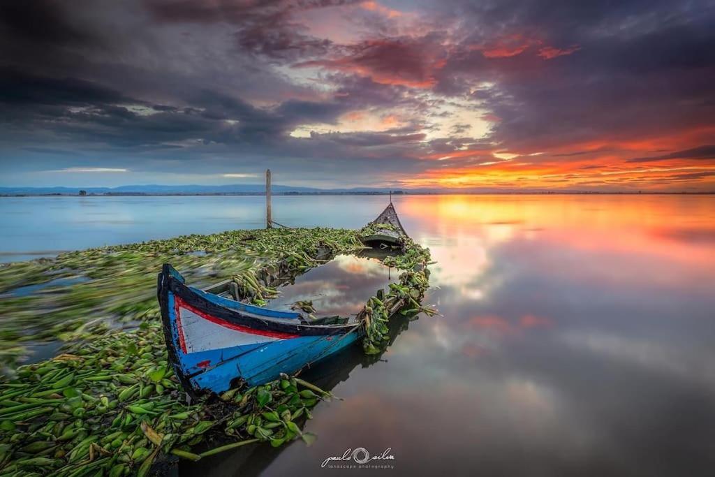 Bird'S Home Aveiro Dış mekan fotoğraf